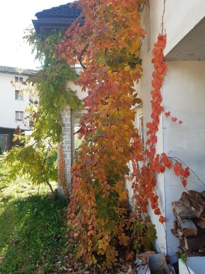 Locanda Rondolost Cencenighe Agordino Exterior foto