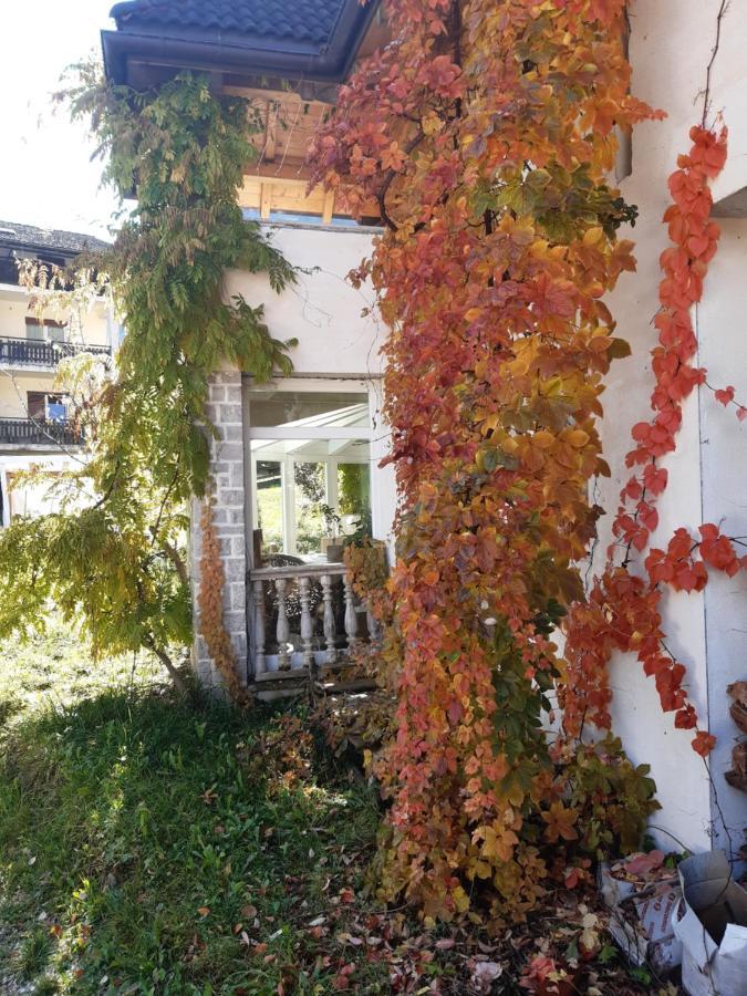 Locanda Rondolost Cencenighe Agordino Exterior foto