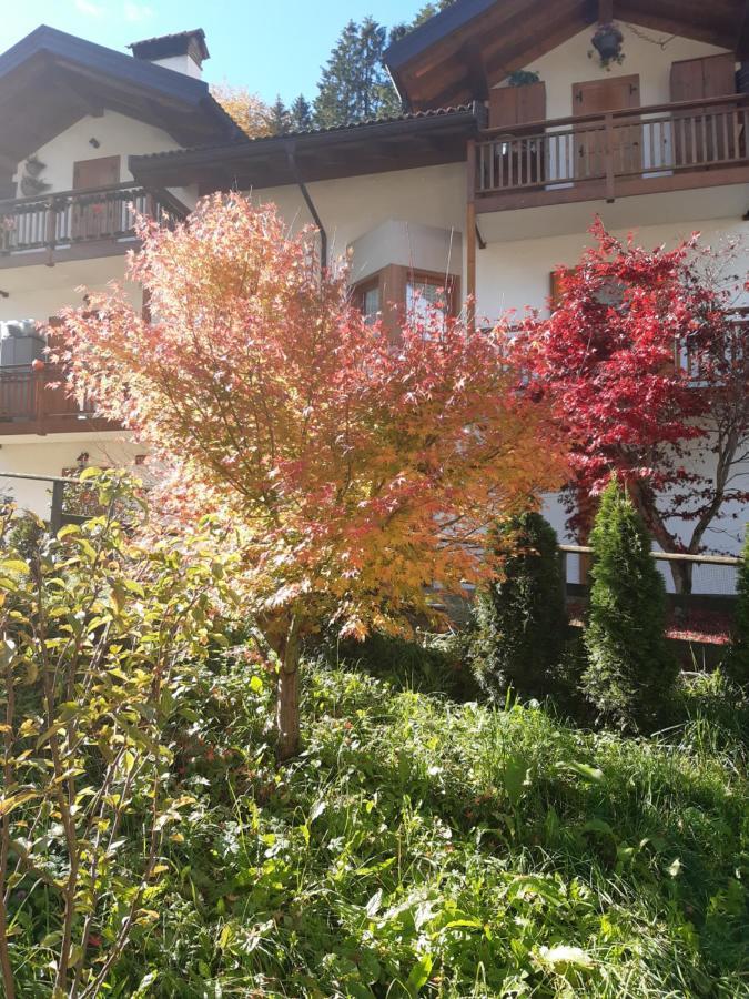 Locanda Rondolost Cencenighe Agordino Exterior foto